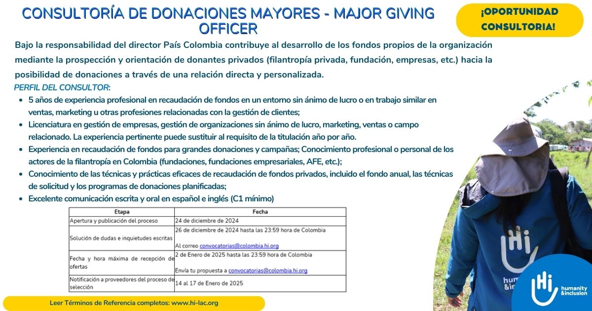 CONSULTORIA - DONACIONES MAYORES