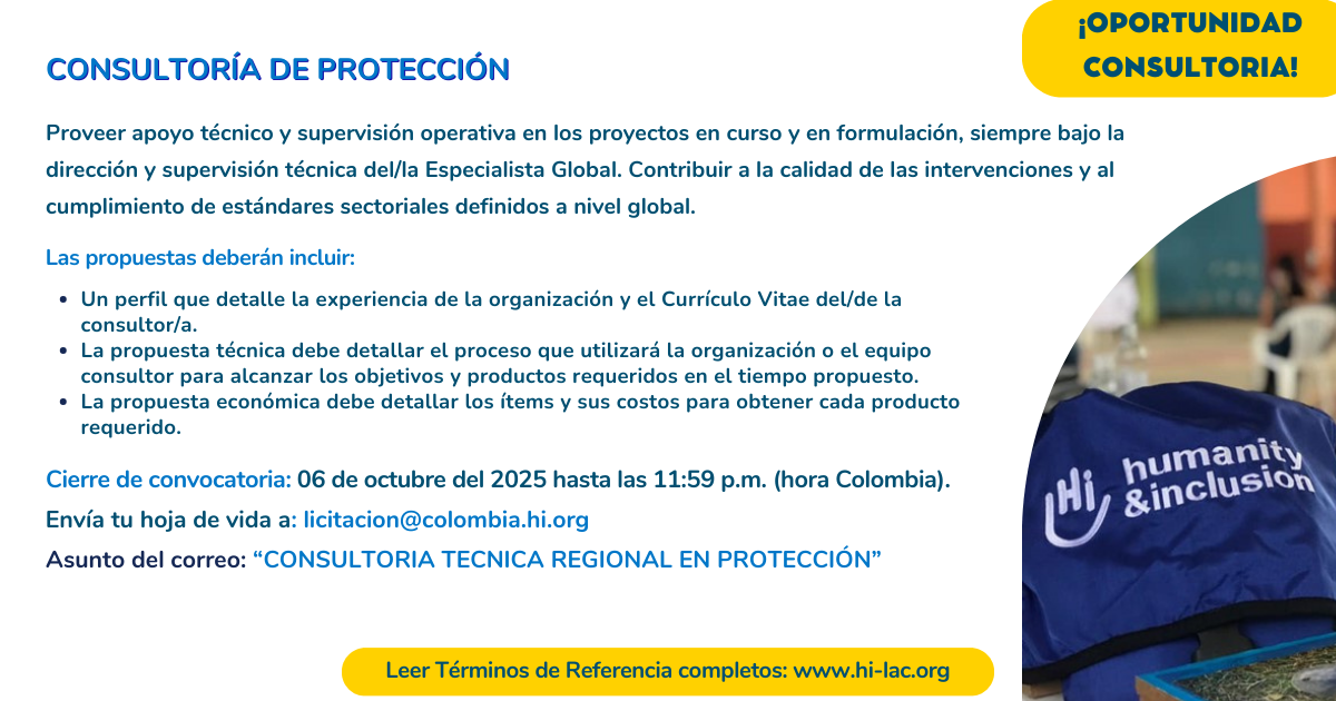 Consultoría de Protección - América Latina y El Caribe