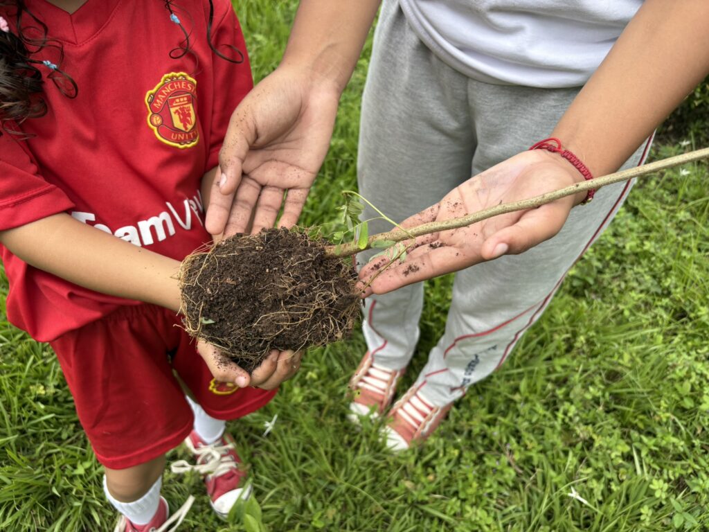 Niños y niñas participan en siembra de árboles