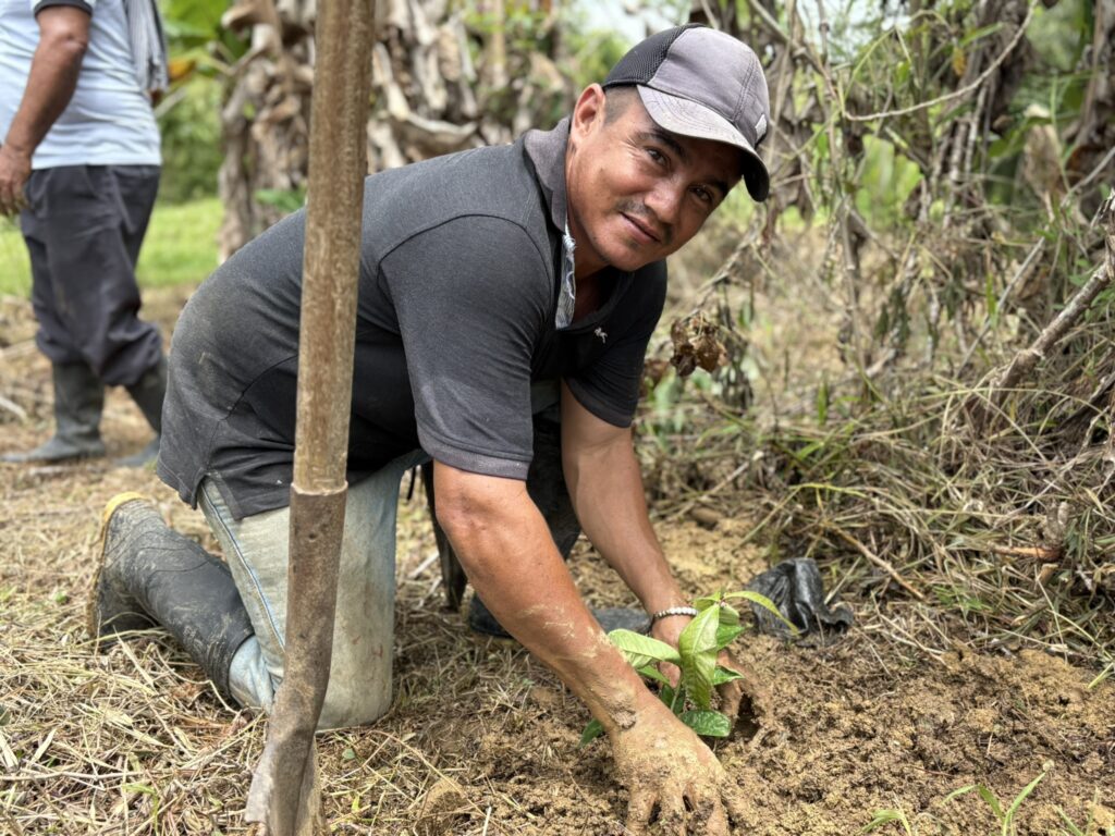 Entrega de árboles a campesinos en Carepa en el marco del proyecto de desminado humanitario