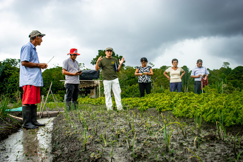 En el corazón de las regiones amazónica y andina peruana, HI está empoderando a mujeres, jóvenes y personas con discapacidad para combatir los efectos del cambio climático.