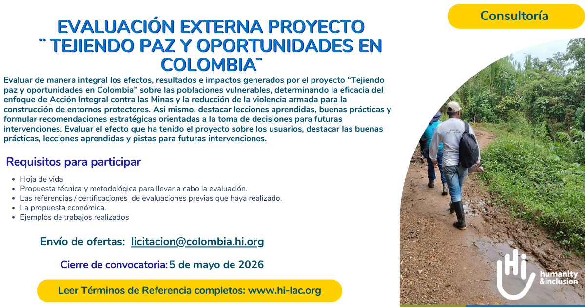 Consultoria evaluación de proyectos